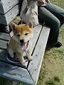 �N���b�N����Ɗg�債�܂��B