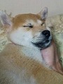 �N���b�N����Ɗg�債�܂��B