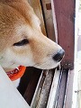 �N���b�N����Ɗg�債�܂��B