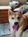 �N���b�N����Ɗg�債�܂��B