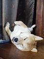 �N���b�N����Ɗg�債�܂��B