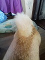 �N���b�N����Ɗg�債�܂��B
