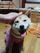 �N���b�N����Ɗg�債�܂��B