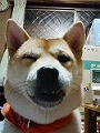 �N���b�N����Ɗg�債�܂��B