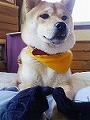�N���b�N����Ɗg�債�܂��B