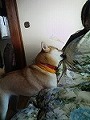 �N���b�N����Ɗg�債�܂��B