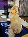 �N���b�N����Ɗg�債�܂��B
