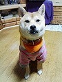 �N���b�N����Ɗg�債�܂��B