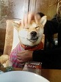 �N���b�N����Ɗg�債�܂��B
