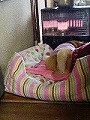 �N���b�N����Ɗg�債�܂��B