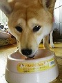 �N���b�N����Ɗg�債�܂��B