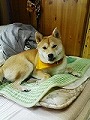 �N���b�N����Ɗg�債�܂��B