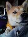 �N���b�N����Ɗg�債�܂��B