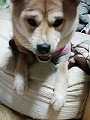 �N���b�N����Ɗg�債�܂��B