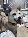 �N���b�N����Ɗg�債�܂��B