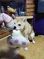 �N���b�N����Ɗg�債�܂��B