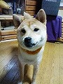 �N���b�N����Ɗg�債�܂��B