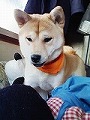 �N���b�N����Ɗg�債�܂��B