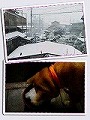 �N���b�N����Ɗg�債�܂��B