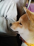 �N���b�N����Ɗg�債�܂��B