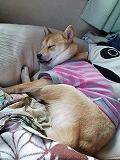 �N���b�N����Ɗg�債�܂��B