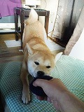 �N���b�N����Ɗg�債�܂��B