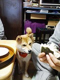�N���b�N����Ɗg�債�܂��B