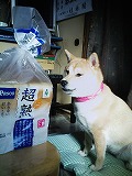 �N���b�N����Ɗg�債�܂��B