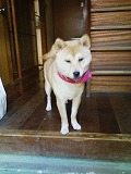 �N���b�N����Ɗg�債�܂��B