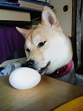 �N���b�N����Ɗg�債�܂��B