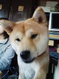 �N���b�N����Ɗg�債�܂��B