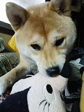 �N���b�N����Ɗg�債�܂��B