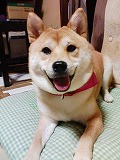 �N���b�N����Ɗg�債�܂��B