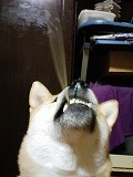 �N���b�N����Ɗg�債�܂��B