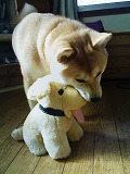 �N���b�N����Ɗg�債�܂��B