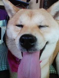 �N���b�N����Ɗg�債�܂��B