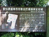 �N���b�N����Ɗg�債�܂��B