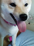 �N���b�N����Ɗg�債�܂��B