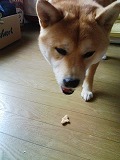 �N���b�N����Ɗg�債�܂��B