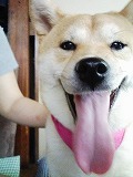 �N���b�N����Ɗg�債�܂��B