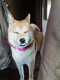 �N���b�N����Ɗg�債�܂��B