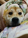 �N���b�N����Ɗg�債�܂��B