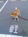 �N���b�N����Ɗg�債�܂��B