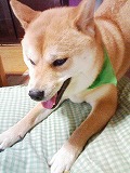 �N���b�N����Ɗg�債�܂��B