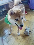 �N���b�N����Ɗg�債�܂��B