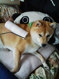 �N���b�N����Ɗg�債�܂��B