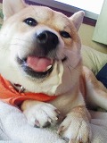 �N���b�N����Ɗg�債�܂��B