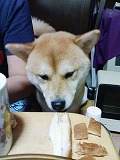 �N���b�N����Ɗg�債�܂��B