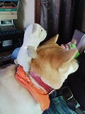 �N���b�N����Ɗg�債�܂��B