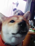 �N���b�N����Ɗg�債�܂��B